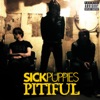 Pitiful (Radio Edit) - Single, 2008