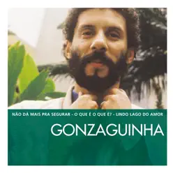The Essential Gonzaguinha - Gonzaguinha The Essential Gonzaguinha - Gonzaguinha