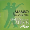 Bailes Latinos de Salón " Mambo y Cha Cha Cha", 2013