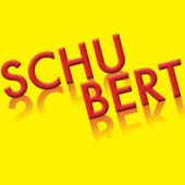 Schubert artwork