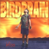 Birdbrain - Hometown