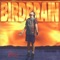 Jena - Birdbrain lyrics