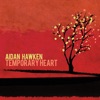 Temporary Heart - EP artwork