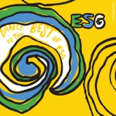 ESG - I Can't Tell You What to Do