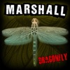 Dragonfly - EP