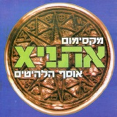 ב.מ.וו.שחורה (חופשי ומאושר) artwork