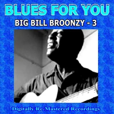 Blues For You - Big Bill Broonzy - 3 - Big Bill Broonzy