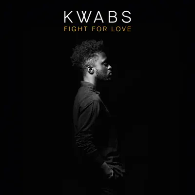 Fight For Love (Sam Gellaitry Remix) - Single - Kwabs