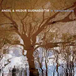 In Transmediale (feat. Hildur Gudnadottir, Dirk Dresselhaus & Ilpo Vaisanen) by Angel & Hildur Guðnadóttir album reviews, ratings, credits