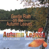Gentle Rain on the Autumn Leaves (feat. Ola Fjellvikås & Asmund Bjørken) artwork