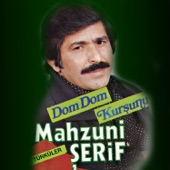 Feleğin Dişi artwork