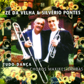 Tudo Dança, Choros Maxixes e Sambas - Zé da Velha & シルベリオ・ポンテス