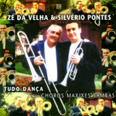 Tudo Dança, Choros Maxixes e Sambas - Zé da Velha & Silvério Pontes