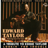 A Tribute to Eddie Taylor - Lookin' for Trouble - Edward Taylor