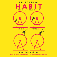 Charles Duhigg - The Power of Habit: Why We Do What We Do in Life and Business (Unabridged) artwork