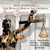 Special Opinion (feat. Randy Brecker, Bill Evans, Mitch Stein, Mike Stern, Dave Weckl, Igor Butman) artwork