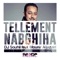 Tellement Nabghiha (feat. Mounir Aljazairi) - DJ Souhil lyrics