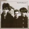 Echo & the Bunnymen artwork