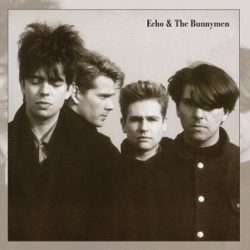 Echo & The Bunnymen - New Direction