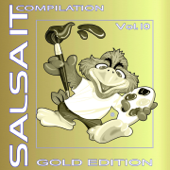 Salsa It Compilation, Vol. 10: Gold Edition - Various Artists