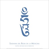 Sadhana del Buda de la Medicina: Cantos del Buda de la Medicina artwork