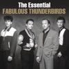 The Essential Fabulous Thunderbirds artwork