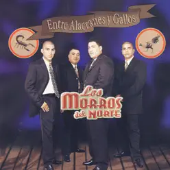 Entre Alacranes Y Gallos - Los Morros del Norte Entre Alacranes Y Gallos - Los Morros del Norte
