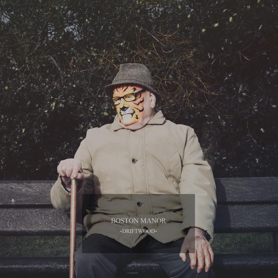 Cover artwork for Wolf