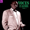 Voces en Alcohol, Vol. 7, 2013