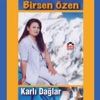 Birsen Özen - Güle Yel Değdi