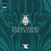 Everything for a Reason - Single