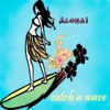The Surfaris - Surfer Joe