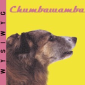 Chumbawamba - New York Mining Disaster 1941