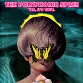 The Polyphonic Spree - Section 33 (You Don't Know Me)