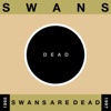 Swans Are Dead: Live '95-'97