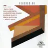 Concerto for the Violin with Percussion Orchestra: I. Allegro, maestoso song lyrics
