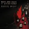 Burning Bright (Remixes) [feat. Kim Ann Foxman] - Single album lyrics, reviews, download