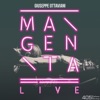 Giuseppe Ottaviani - Passion (Live)