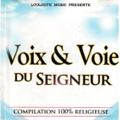 Voix & Voie du Seigneur Vol 1 (Compilation 100% Religieuse) - Varios Artistas