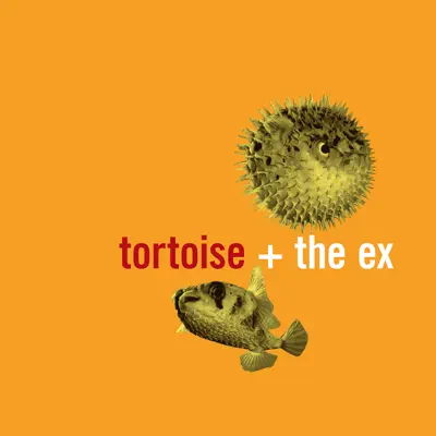 In the Fishtank 5 - EP - Tortoise