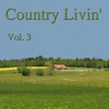 Country Livin' Vol. 3 artwork