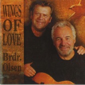 Fly on the Wings of Love artwork