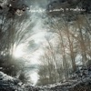 Hobotalk - Jackdaw