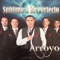Sin Amor, Ni Costumbre - Arroyo lyrics