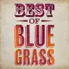 Blue Grass Chopper song lyrics