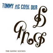 The Sannic Sounds artwork