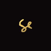 Sylvan Esso - Come Down