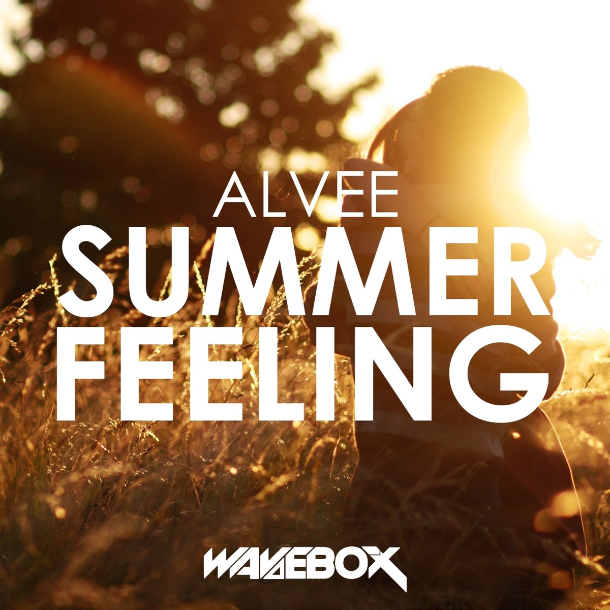 Summer feel. Summer feeling. Feelings песня. Summer feeling перевод. Summer feeling бренд.