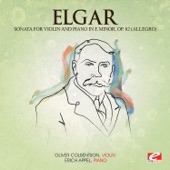 Sonata for Violin and Piano in E Minor, Op.  82: I. Allegro: Risoluto artwork