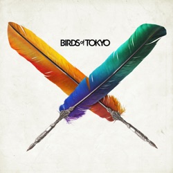 Birds of Tokyo - Plans